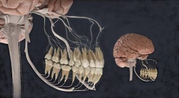 سخن پیامبر(ص) که در دانشگاه برگن نروژ ثابت شد!