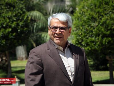 توضیحات تقوینژاد درباره برنامه دولت برای کوچک سازی