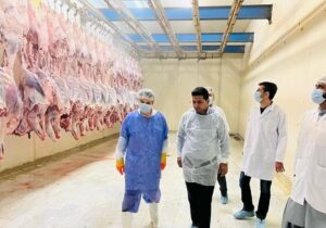 معدوم سازی ۲۶۰۰ کیلوگرم فرآورده غیرقابل مصرف در چابهار