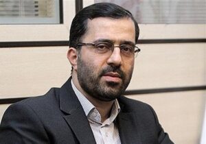 وظیفه مجلس کمک به دولت است