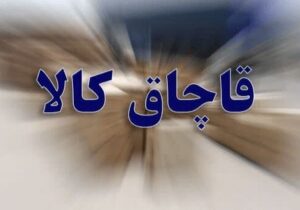 کشف ۳۹۰ میلیارد ریال کالای قاچاق در البرز با اجرای طرح سراسری پلیس