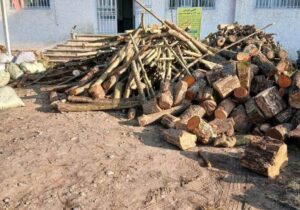 دادستان شهرستان رودسر: با قاچاق چوب و تخریب منابع طبیعی بدون اغماض برخورد می‌شود