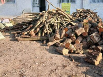 دادستان شهرستان رودسر: با قاچاق چوب و تخریب منابع طبیعی بدون اغماض برخورد می‌شود