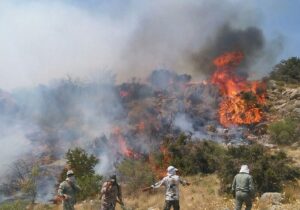 چگونه روایتهای کلیشهای رسانهها بحران آتشسوزی الیت را تشدید کردند؟