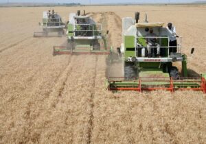 مجتمعهای مغان و پارس؛ قطبهای کشاورزی شمالغرب در اردبیل