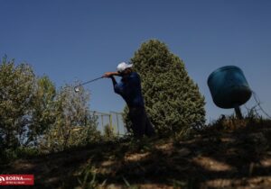 تنور داغ سوپر لیگ گلف کشور با رقابت های جذاب