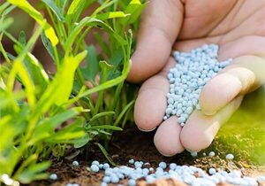 تامین ۹۳ هزار تن کود کشاورزان استان گلستان