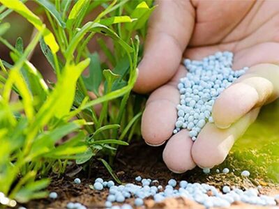 تامین ۹۳ هزار تن کود کشاورزان استان گلستان