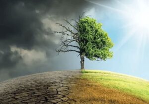 سبک زندگی کم مصرف و «خانهتکانی سبز» ترویج شود