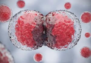 سلول‌ ها از کجا می‌فهمند که مربوط به کدام عضو بدن هستند؟