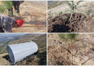 باقریان: احیای جنگلهای قرهداغ محور راهبردی محیطزیست سونگون است