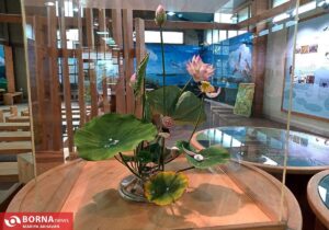 خانه محیط زیست بندرانزلی