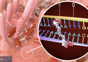 سم پنهان باکتری روده چگونه DNA را هدف می‌گیرد؟