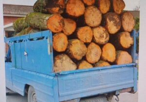 کشف ۲.۵ تن الوار جنگلی قاچاق در اردبیل / توقیف محموله چوب در عملیات پلیس هیر