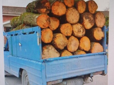 کشف ۲.۵ تن الوار جنگلی قاچاق در اردبیل / توقیف محموله چوب در عملیات پلیس هیر