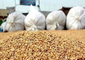 فلاحی:  ۹۰۰۰ تن نهاده به بازار دام و طیور فارس تزریق شد