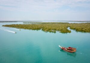 هشدار یک پژوهشگر درباره تهدیدهای جنگلهای حرای کشور