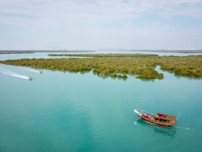 هشدار یک پژوهشگر درباره تهدیدهای جنگلهای حرای کشور