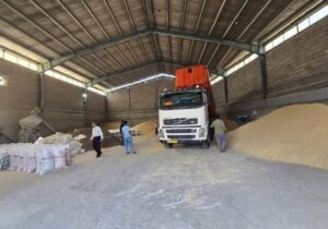 کشف بیش از ۳۷ هزار تن نهاده احتکاری از ۶ شرکت متخلف