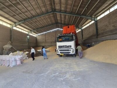 کشف بیش از ۳۷ هزار تن نهاده احتکاری از ۶ شرکت متخلف