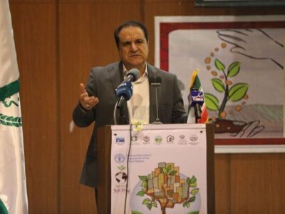 تکمیل ۱۶ ایستگاه پمپاژ آب کشاورزی ایلام در اولویت دولت است