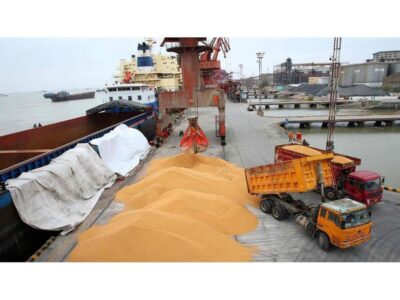 گام تازه در امنیت غذایی مازندران؛ دو کشتی گندم وارد بندر امیرآباد شدند