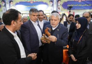 وزیر میراث فرهنگی: توسعه بدون فرهنگ ناممکن است