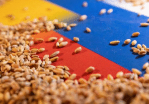 صفر شدن عوارض صادرات غلات در روسیه