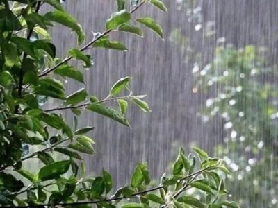 سامانه فعال بارشی در راه کردستان