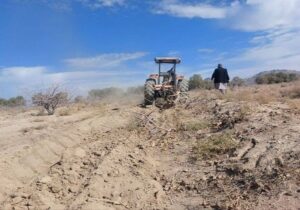 رفع تصرف ۳۱ هکتار اراضی ملی در مرتع «دجنگ» شهرستان خاش