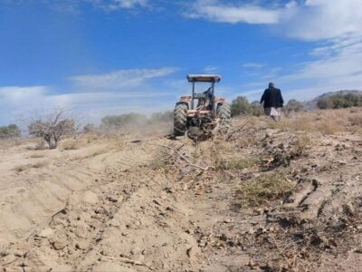 رفع تصرف ۳۱ هکتار اراضی ملی در مرتع «دجنگ» شهرستان خاش