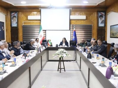 فرار ثروت پتروشیمیها مانع توسعه صنعتی استان بوشهر است