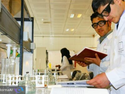 شیوهنامه طرح «دانا» برای حمایت از دانشآموختگان دکترا ابلاغ شد