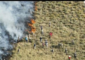  احیای جنگل‌های آسیب‌دیده از آتش‌سوزی در دره شهر آغاز شد