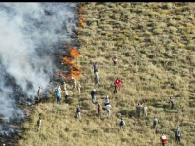  احیای جنگل‌های آسیب‌دیده از آتش‌سوزی در دره شهر آغاز شد