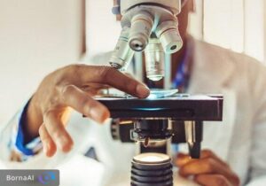 اطلاعیه مهم برای دانشجویان دکتری متقاضی شرکت در مدرسه تابستانه دانشمندان جوان یاسا