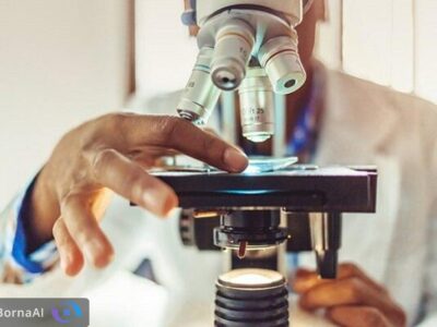 اطلاعیه مهم برای دانشجویان دکتری متقاضی شرکت در مدرسه تابستانه دانشمندان جوان یاسا