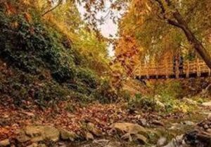 جزئیات فاز دوم روددره فرحزاد/ بهرهبرداری تا پایان سال