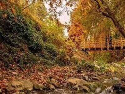 جزئیات فاز دوم روددره فرحزاد/ بهرهبرداری تا پایان سال