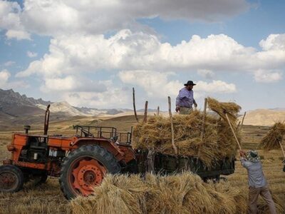 افزایش قیمت محصولات کشاورزی از ۸ تا ۲۰۵ درصد