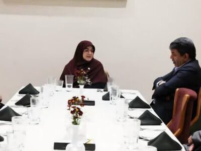 مهاجرانی با استقبال استاندار وارد کرمان شد