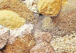 ۷۹۰۰ تن نهاده برای مرغداری های ایلام تامین شد