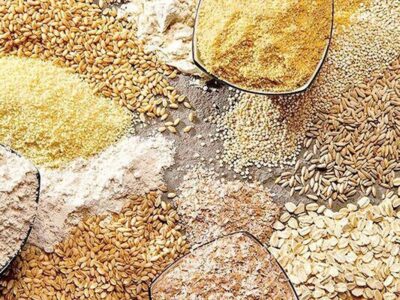 ۷۹۰۰ تن نهاده برای مرغداری های ایلام تامین شد