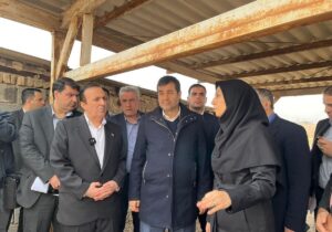 وزیر ورزش از پروژه نیمه تمام سالن شش هزار نفری قزوین بازدید کرد