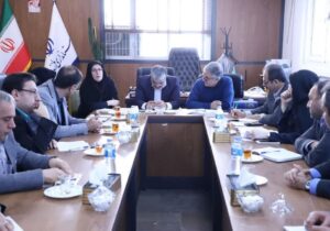 مازندران پیشگام اقتصاد دیجیتال؛ تشکیل کمیتههای تخصصی در شورای فضای مجازی