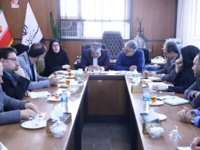 مازندران پیشگام اقتصاد دیجیتال؛ تشکیل کمیته‌های تخصصی در شورای فضای مجازی