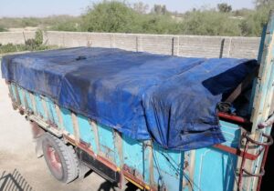 کشف ۲۱ هزار کیلو شلتوک قاچاق در ایذه