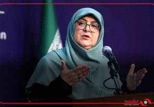 آیا زیر ساخت های لازم برای خود اظهاری مالکان چند خودرویی فراهم شده است؟