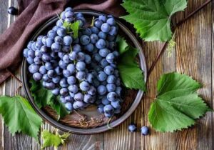 عصاره انگور فرنگی سیاه ناجی بیماران دیابتی شد