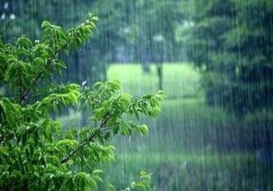 آیا بارانی که در زمان آلودگی هوا می‌بارد خطرناک است؟